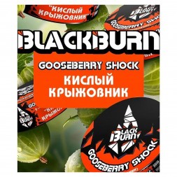 Табак BlackBurn - Gooseberry Shock (Кислый Крыжовник, 100 грамм)