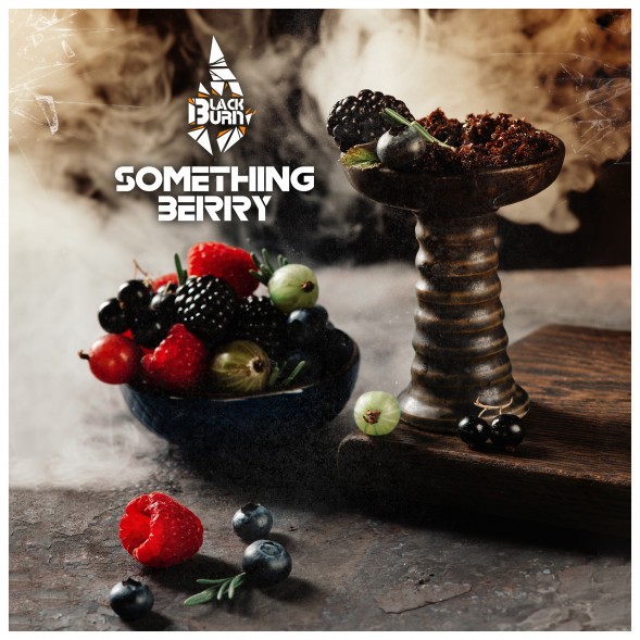 Табак BlackBurn - Something Berry (Что-то Ягодное, 25 грамм) купить в Казани